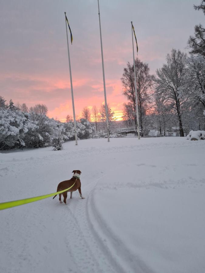 Skogsbrynet B&B, Bredsjoe Nya Herrgard Hällefors Buitenkant foto